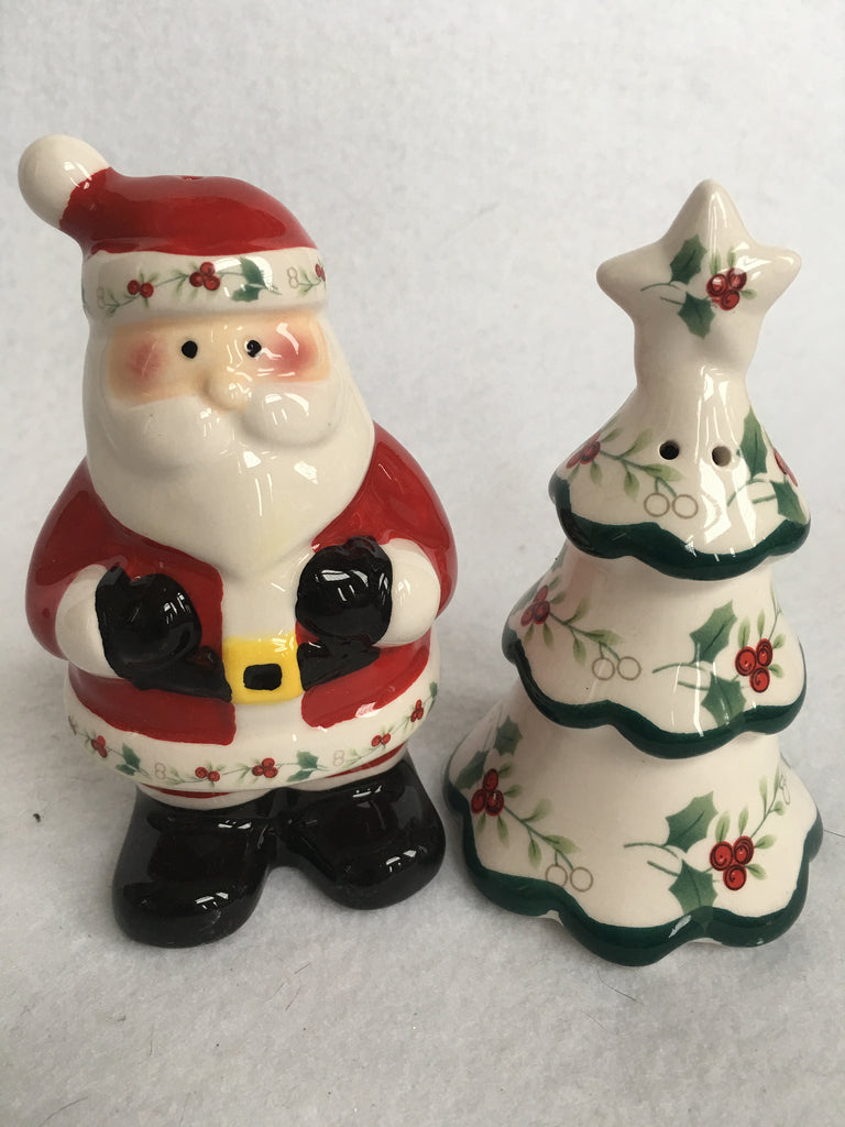 Pfaltzgraff Winterberry Salt and Pepper Set