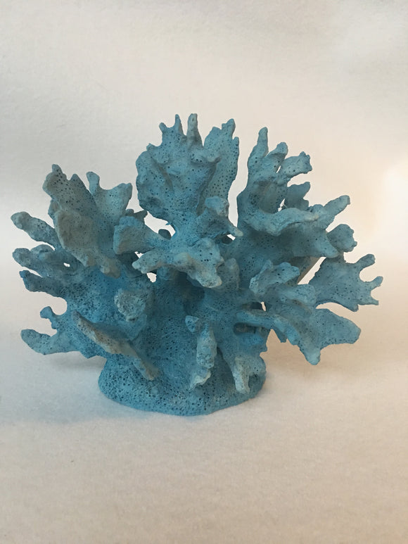 Beach Medium Blue Coral